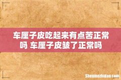 车厘子皮吃起来有点苦正常吗 车厘子皮皱了正常吗