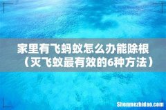 灭飞蚁最有效的6种方法 家里有飞蚂蚁怎么办能除根