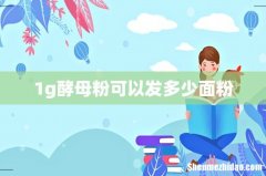 1g酵母粉可以发多少面粉