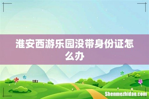 淮安西游乐园没带身份证怎么办