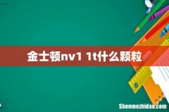 金士顿nv1 1t什么颗粒