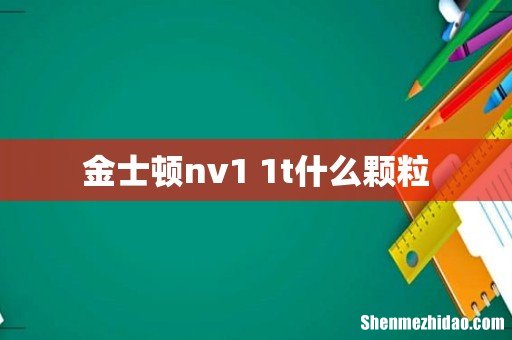 金士顿nv1 1t什么颗粒