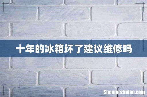 十年的冰箱坏了建议维修吗