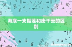 海底一支榴莲和唐千云的区别