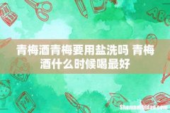 青梅酒青梅要用盐洗吗 青梅酒什么时候喝最好
