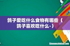 鸽子喜欢吃什么- 鸽子爱吃什么食物有哪些