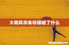 大明风华朱祁镇喊了什么