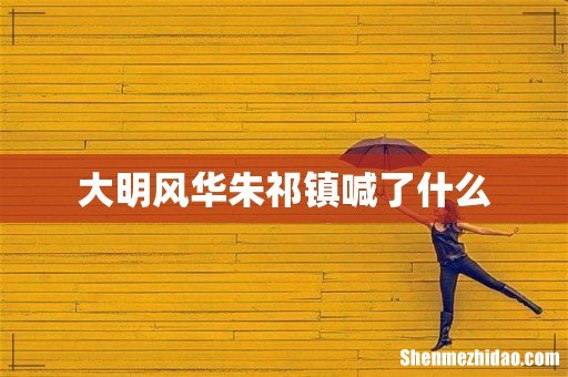 大明风华朱祁镇喊了什么