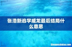 张浩新逃学威龙最后结局什么意思