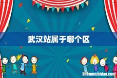 武汉站属于哪个区