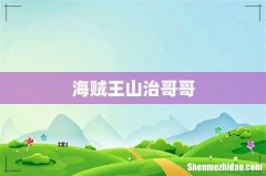 海贼王山治哥哥