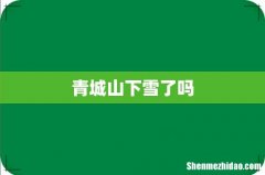 青城山下雪了吗