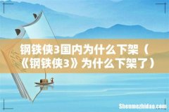 《钢铁侠3》为什么下架了 钢铁侠3国内为什么下架