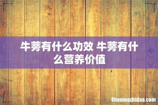 牛蒡有什么功效 牛蒡有什么营养价值