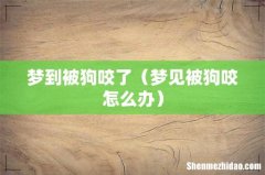 梦见被狗咬怎么办 梦到被狗咬了