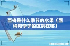 西梅和李子的区别在哪 西梅是什么季节的水果