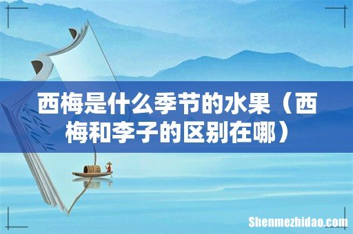 西梅和李子的区别在哪 西梅是什么季节的水果