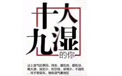 痰湿胃积滞湿困于脾怎么解决