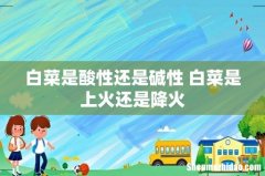白菜是酸性还是碱性 白菜是上火还是降火