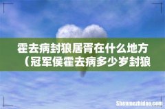 冠军侯霍去病多少岁封狼居胥 霍去病封狼居胥在什么地方