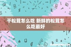 干松茸怎么吃 新鲜的松茸怎么吃最好