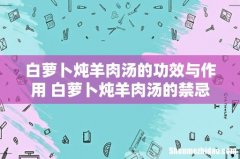 白萝卜炖羊肉汤的功效与作用 白萝卜炖羊肉汤的禁忌