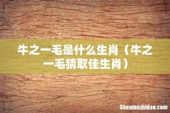牛之一毛猜取佳生肖 牛之一毛是什么生肖