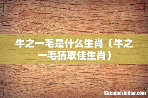 牛之一毛猜取佳生肖 牛之一毛是什么生肖