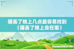 猫丢了晚上会在哪 猫丢了晚上几点最容易找到