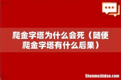 随便爬金字塔有什么后果 爬金字塔为什么会死