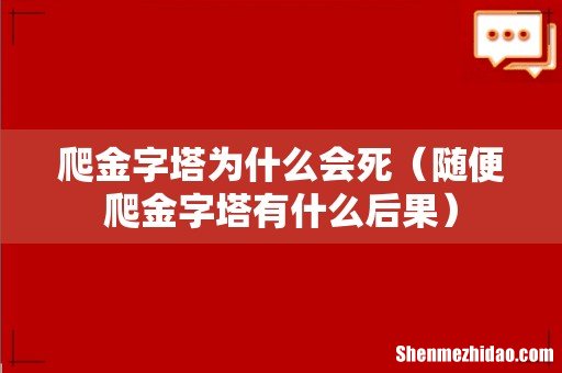 随便爬金字塔有什么后果 爬金字塔为什么会死