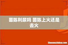 茵陈利尿吗 茵陈上火还是去火