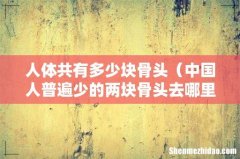 中国人普遍少的两块骨头去哪里了 人体共有多少块骨头