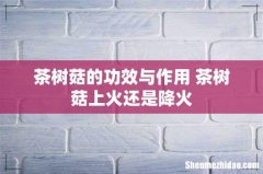 茶树菇的功效与作用 茶树菇上火还是降火