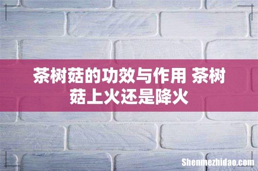 茶树菇的功效与作用 茶树菇上火还是降火