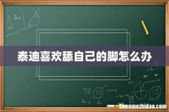 泰迪喜欢舔自己的脚怎么办