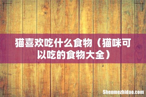 猫咪可以吃的食物大全 猫喜欢吃什么食物