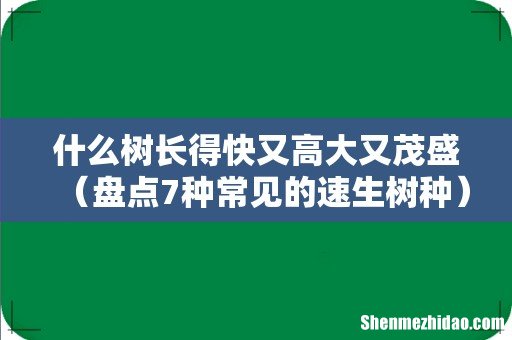 盘点7种常见的速生树种 什么树长得快又高大又茂盛