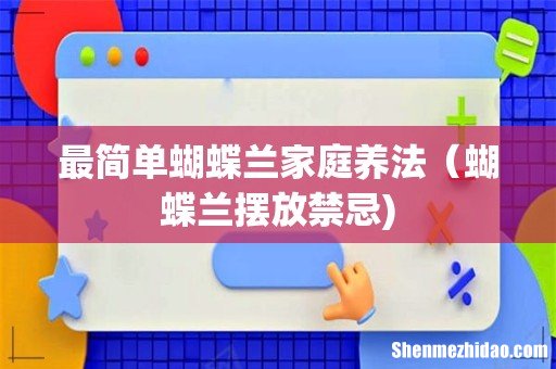 最简单蝴蝶兰家庭养法(蝴蝶兰摆放禁忌)