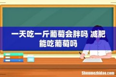 一天吃一斤葡萄会胖吗 减肥能吃葡萄吗