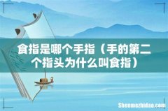 手的第二个指头为什么叫食指 食指是哪个手指
