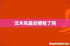 沈木风最后牺牲了吗