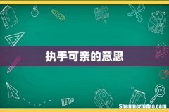执手可亲的意思
