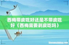 西梅需要剥皮吃吗 西梅带皮吃好还是不带皮吃好