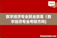 数字经济专业就业前景（数字经济专业考研方向)