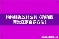 狗狗肠胃炎在家自救方法 狗狗肠炎吃什么药