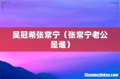 张常宁老公是谁 吴冠希张常宁