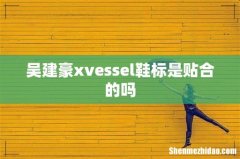 吴建豪xvessel鞋标是贴合的吗