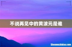 不说再见中的黄波元是谁