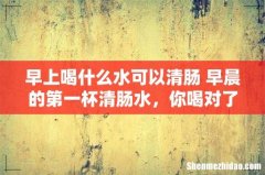 早上喝什么水可以清肠 早晨的第一杯清肠水，你喝对了吗